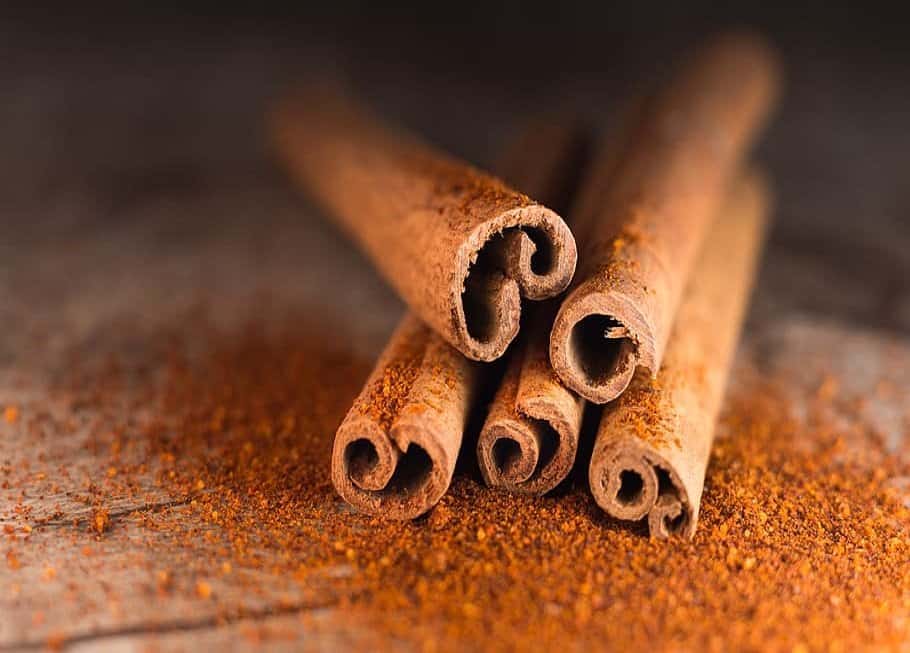 History Of The Spice Trade revisited Cinnamon