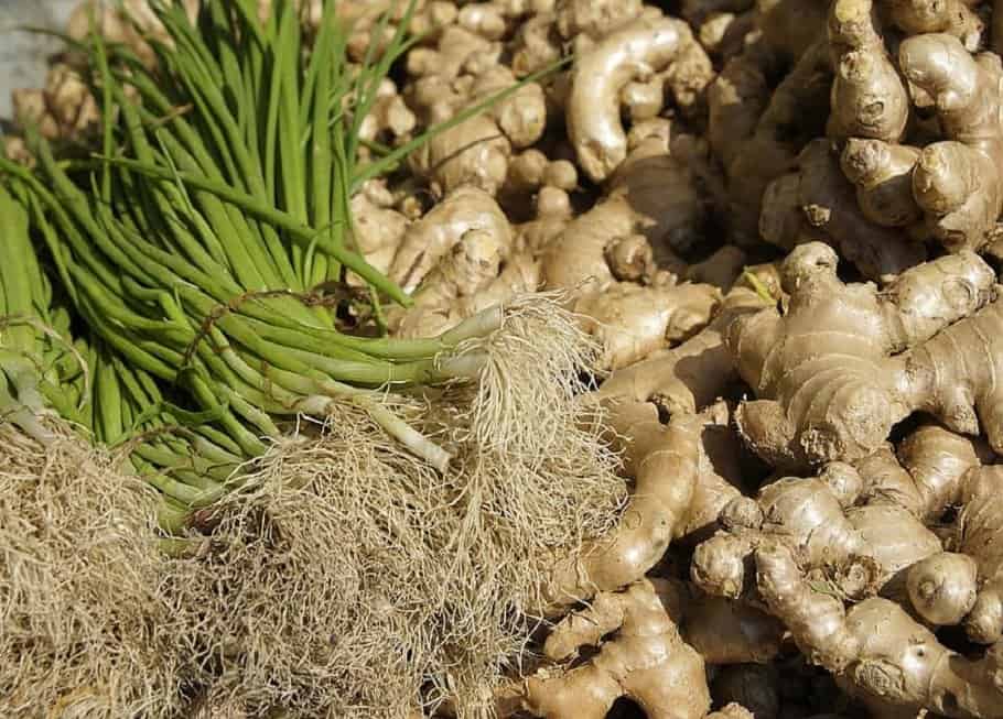 History Of The Spice Trade revisited Ginger