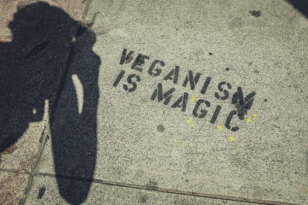 Veganism more than just vegan diet