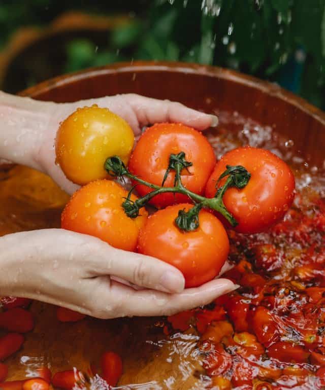 Tomato History on Yum and Awesome website