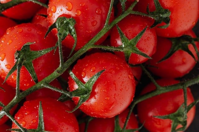 Tomato History on Yum & Awesome